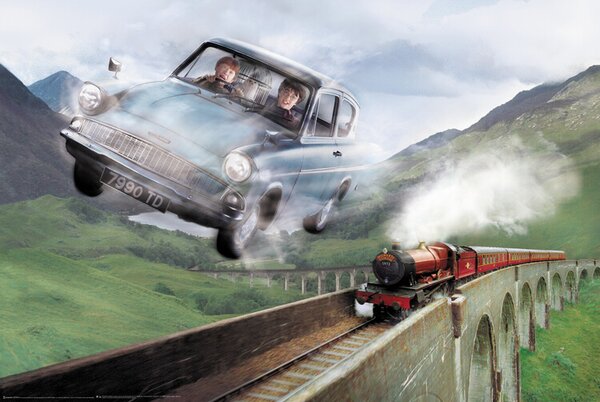 Posters, Stampe Harry Potter - Ford, (91.5 x 61 cm)