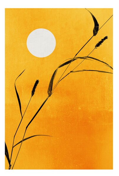 Posters, Stampe Kubistika - Sunny days, (40 x 60 cm)