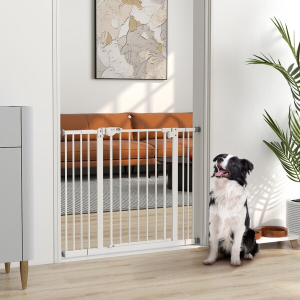 PawHut Cancellino per Cani Regolabile Fino a 100 cm Senza Viti con 2 Estensioni e Altezza 72 cm, Bianco|Aosom