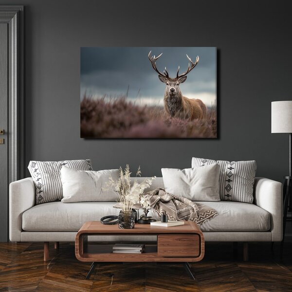 Quadro su tela – Maestoso cervo nella natura