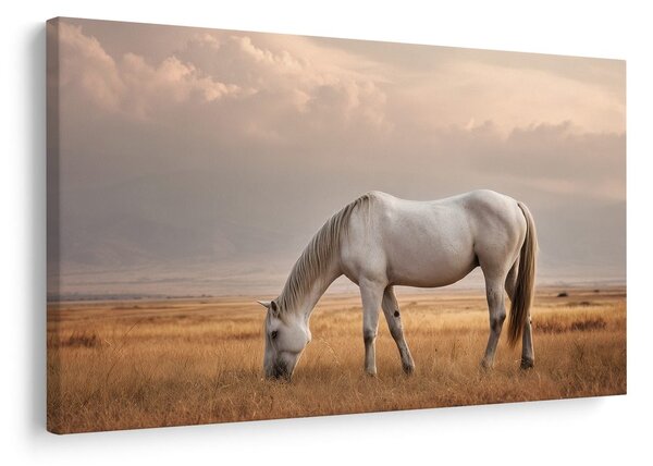 Quadro su tela – Cavallo tranquillo al pascolo