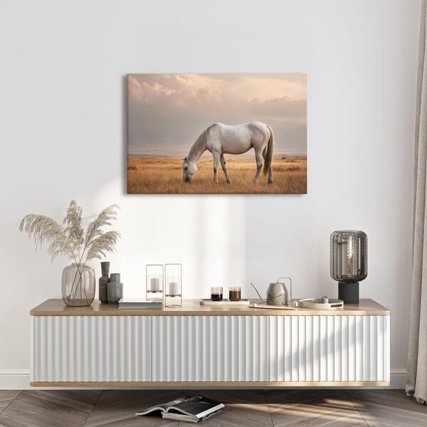 Quadro su tela – Cavallo tranquillo al pascolo