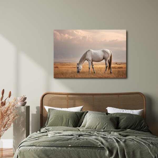 Quadro su tela – Cavallo tranquillo al pascolo