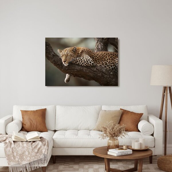Quadro su tela – Leopardo che riposa sull'albero