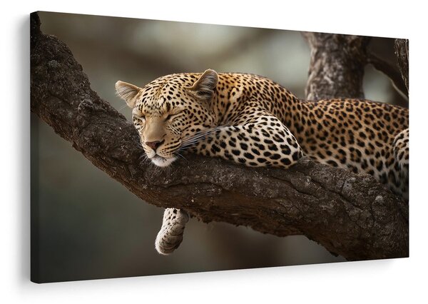 Quadro su tela – Leopardo che riposa sull'albero