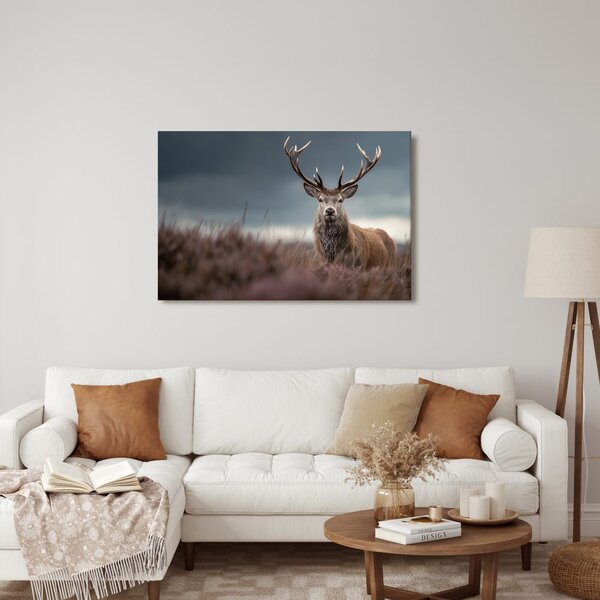 Quadro su tela – Maestoso cervo nella natura