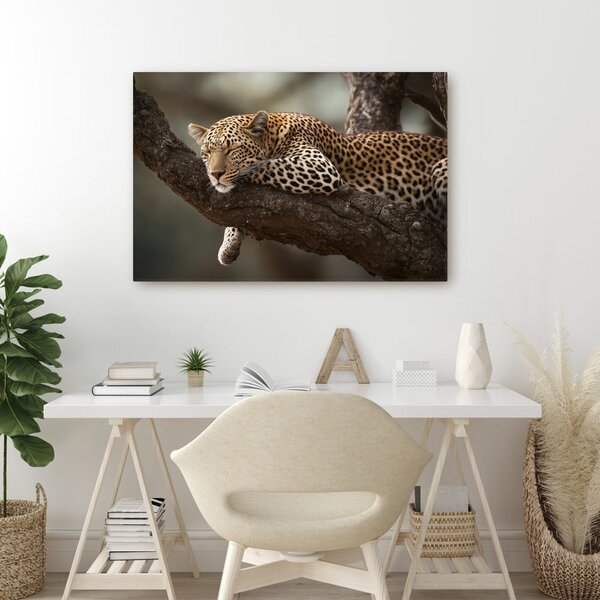 Quadro su tela – Leopardo che riposa sull'albero