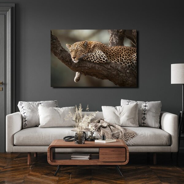 Quadro su tela – Leopardo che riposa sull'albero