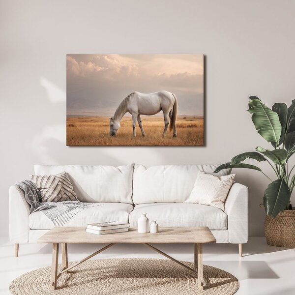 Quadro su tela – Cavallo tranquillo al pascolo