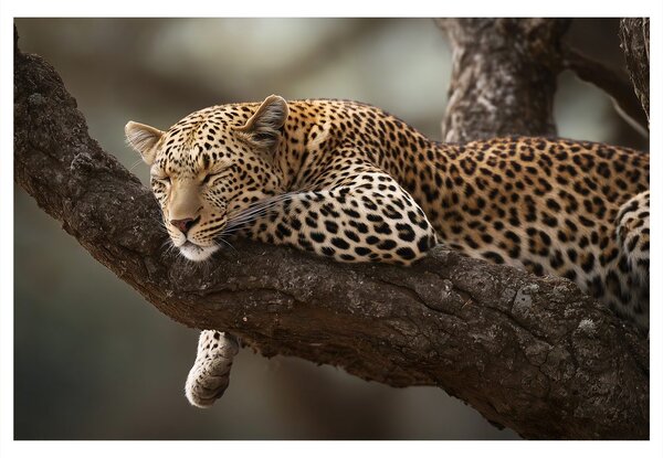 Quadro su tela – Leopardo che riposa sull'albero