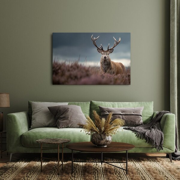 Quadro su tela – Maestoso cervo nella natura