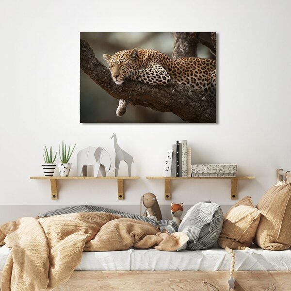 Quadro su tela – Leopardo che riposa sull'albero