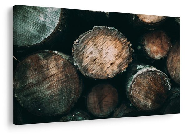 Quadro su tela – Tronchi di legno da vicino