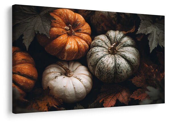 Quadro su tela – Zucche colorate autunnali