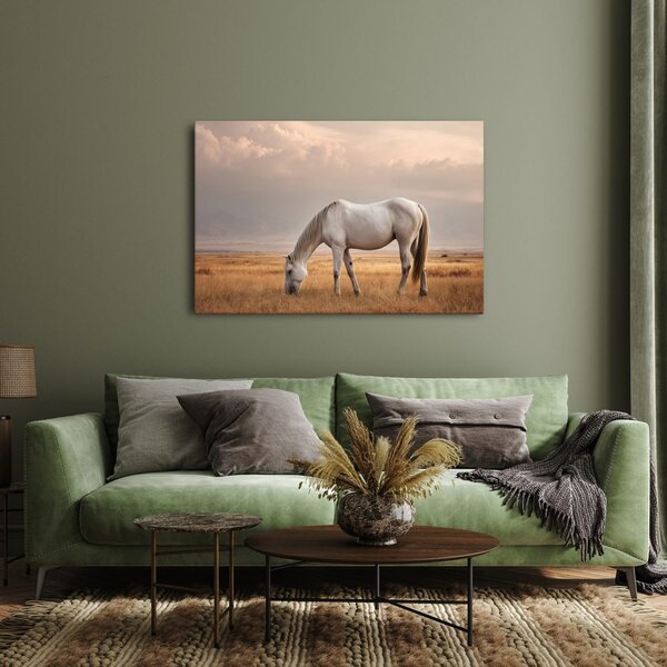 Quadro su tela – Cavallo tranquillo al pascolo