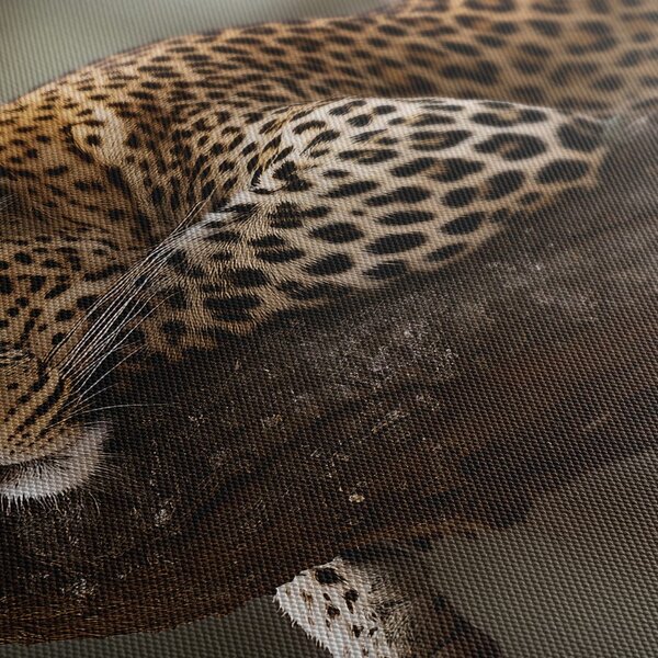 Quadro su tela – Leopardo che riposa sull'albero