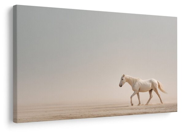 Quadro su tela – Cavallo bianco nel deserto