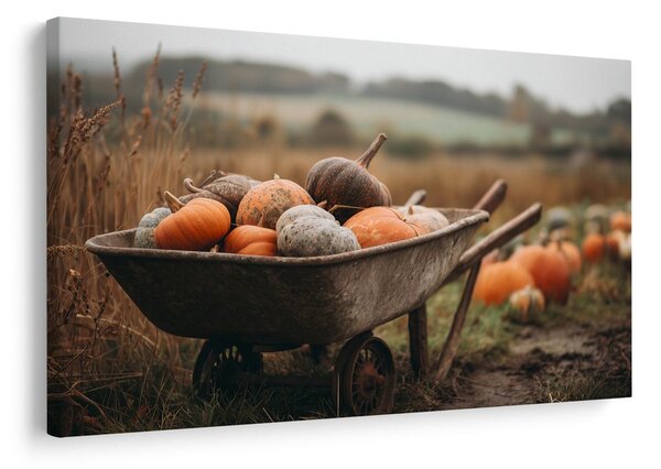 Quadro su tela – Raccolta autunnale di zucche