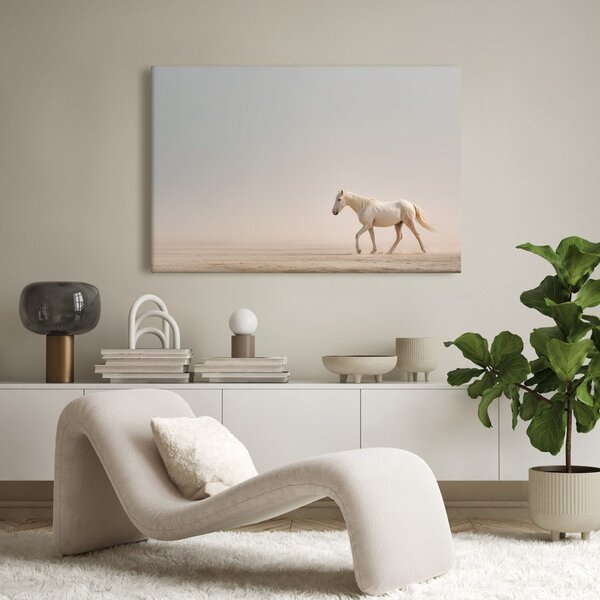 Quadro su tela – Cavallo bianco nel deserto