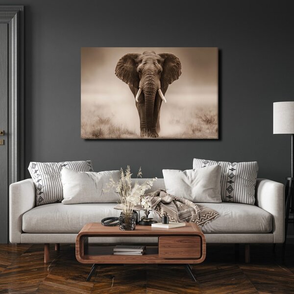 Quadro su tela – Maestoso elefante nella savana