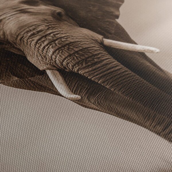 Quadro su tela – Maestoso elefante nella savana