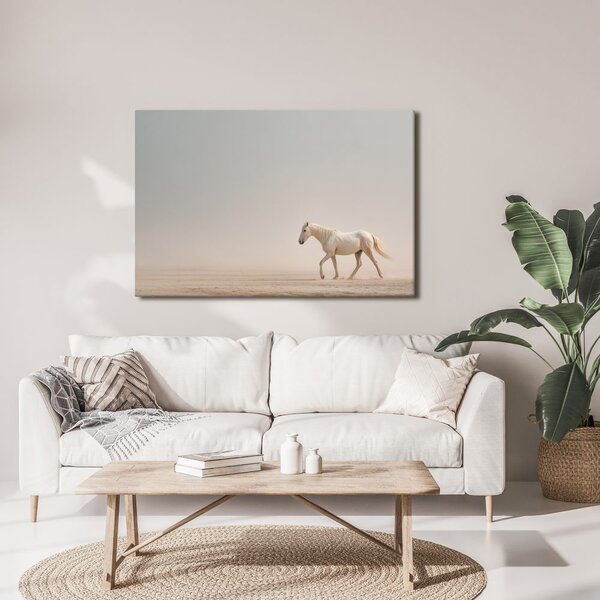 Quadro su tela – Cavallo bianco nel deserto