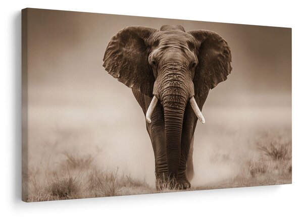 Quadro su tela – Maestoso elefante nella savana