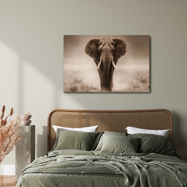 Quadro su tela – Maestoso elefante nella savana