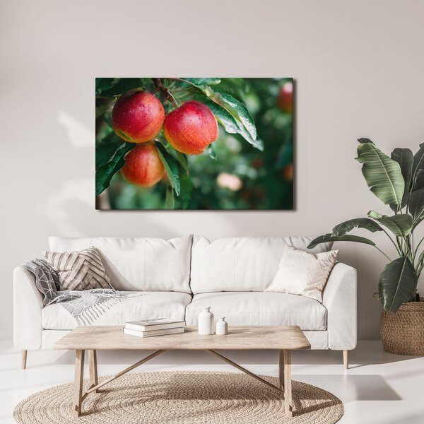 Quadro su tela – Mele fresche sul ramo