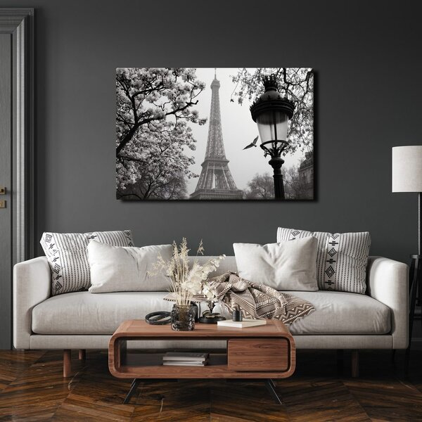 Quadro su tela – Parigi nella foschia invernale