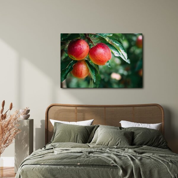 Quadro su tela – Mele fresche sul ramo