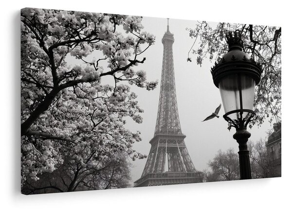 Quadro su tela – Parigi nella foschia invernale