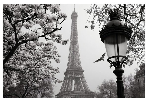 Quadro su tela – Parigi nella foschia invernale