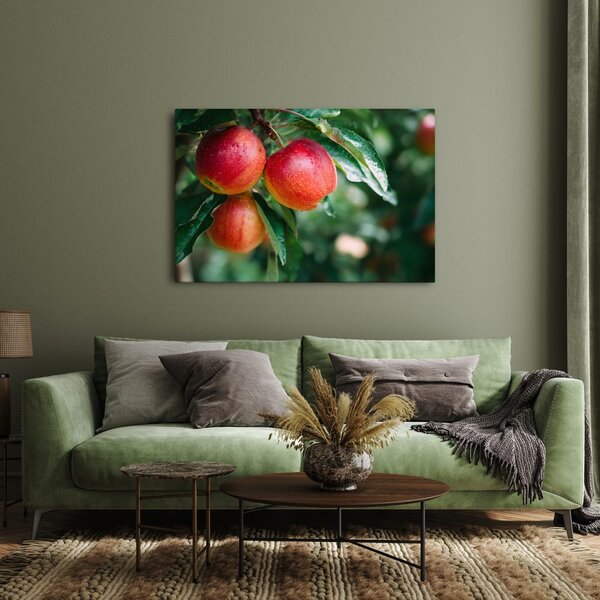 Quadro su tela – Mele fresche sul ramo
