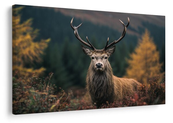 Quadro su tela – Maestoso cervo nel bosco