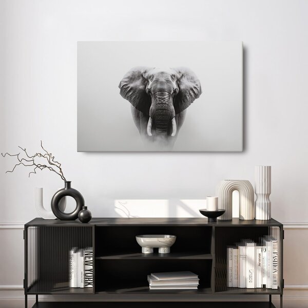 Quadro su tela – Maestoso elefante nella nebbia