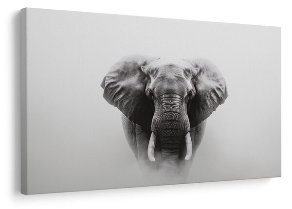 Quadro su tela – Maestoso elefante nella nebbia