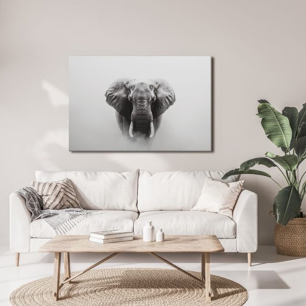 Quadro su tela – Maestoso elefante nella nebbia