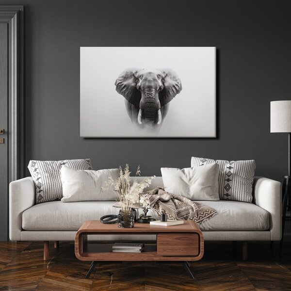Quadro su tela – Maestoso elefante nella nebbia