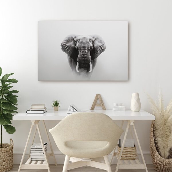 Quadro su tela – Maestoso elefante nella nebbia
