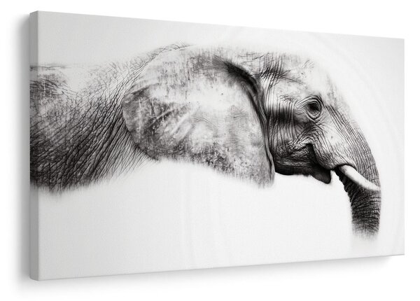 Quadro su tela – Profilo elegante di elefante