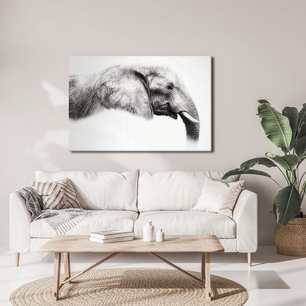 Quadro su tela – Profilo elegante di elefante