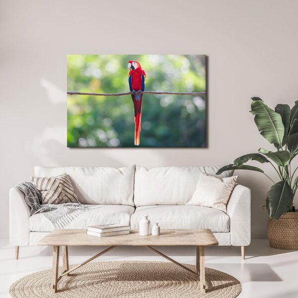 Quadro su tela – Pappagallo colorato nella giungla