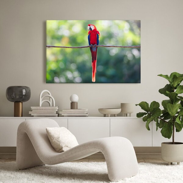Quadro su tela – Pappagallo colorato nella giungla