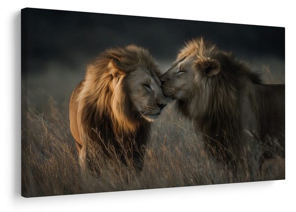 Quadro su tela – Leoni nella savana africana