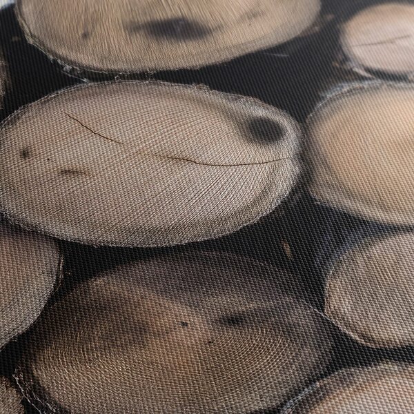 Quadro su tela – Texture naturale del legno