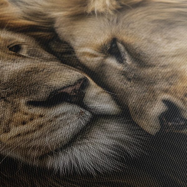 Quadro su tela – Amore leonino nella natura selvaggia