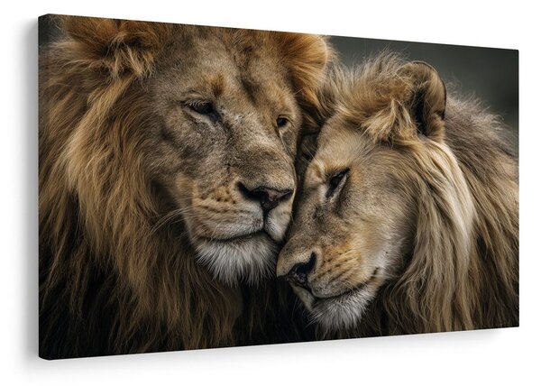 Quadro su tela – Amore leonino nella natura selvaggia