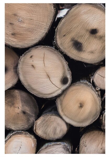Quadro su tela – Dettaglio del legno