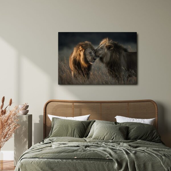 Quadro su tela – Leoni nella savana africana